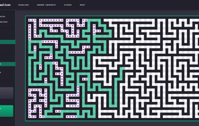An image of the Visualisation d'algorithmes project.